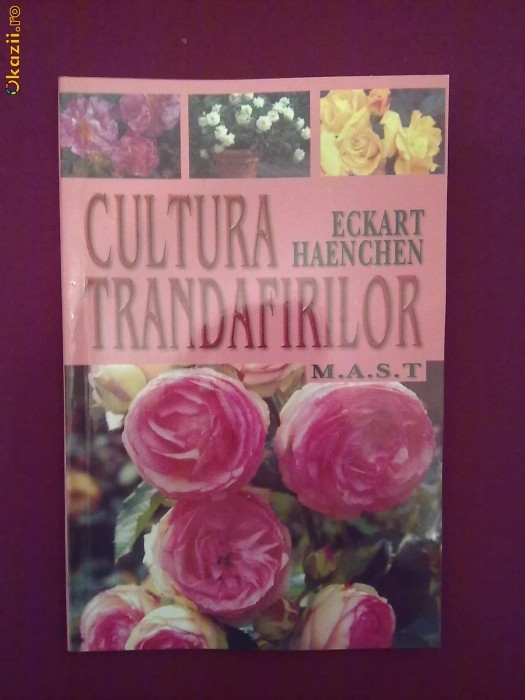 Y12L  Eckart Haenchen - Cultura trandafirilor foto mare