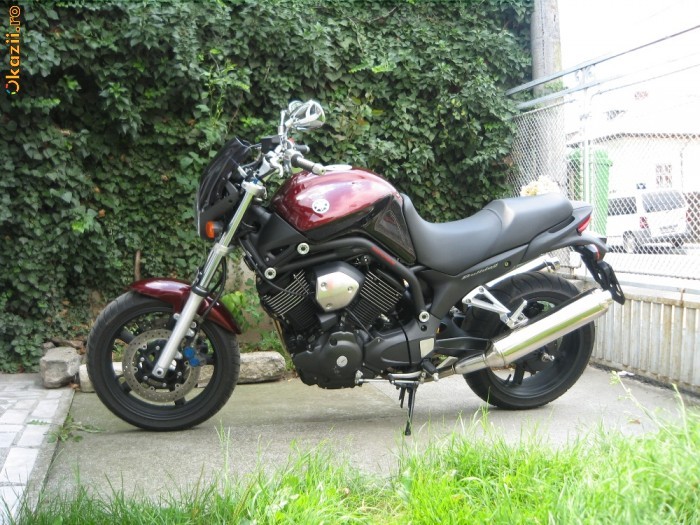 Bulldog BT 1100   fabr. 2007! foto mare